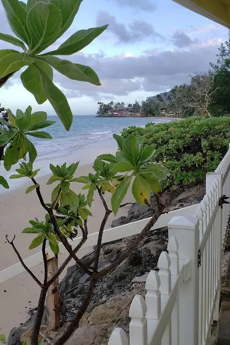 Moeʻuhane Kai Beach Front Home Hau'ula Dom wakacyjny